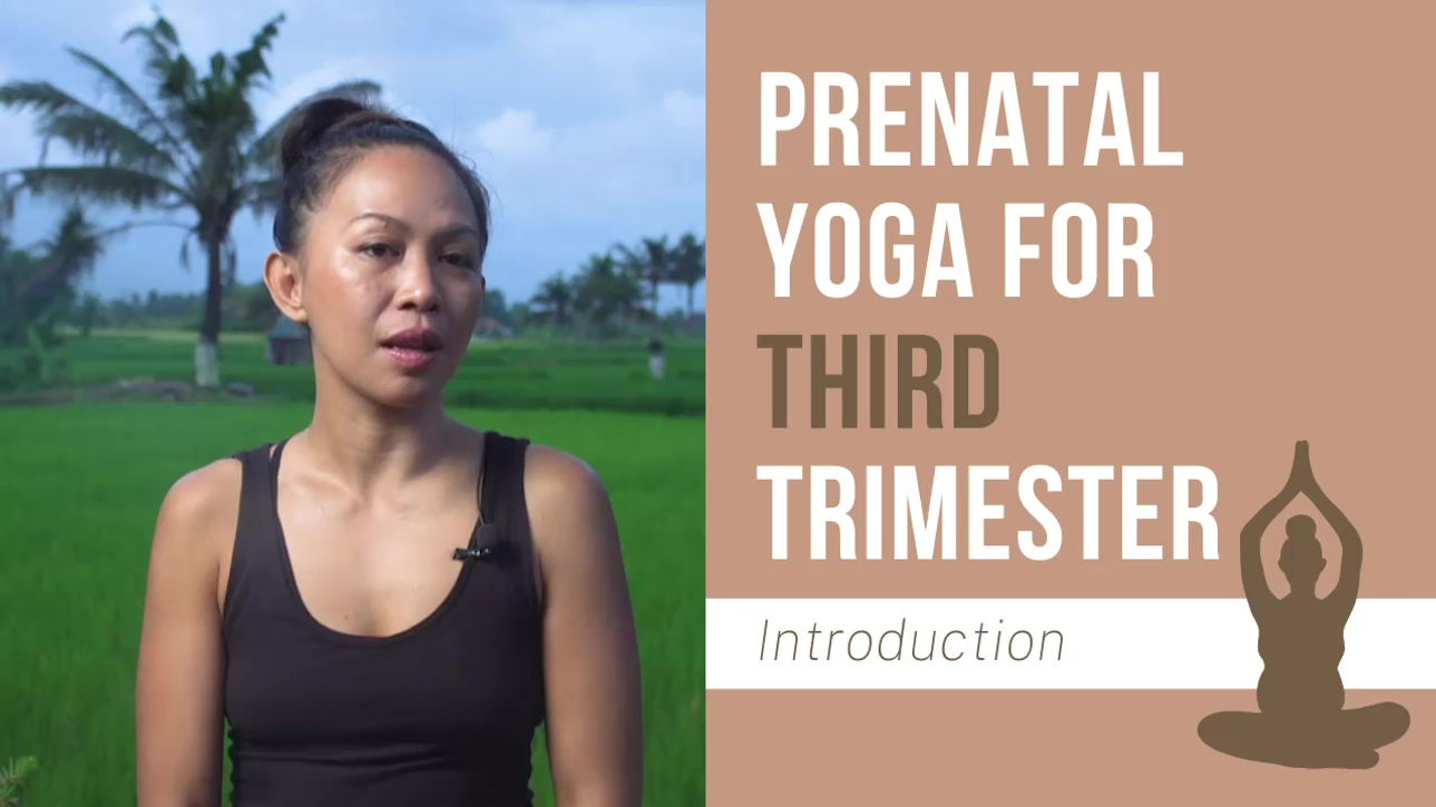 Bali Mama Intro 3rd Trimester